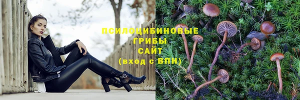 гидра Балахна